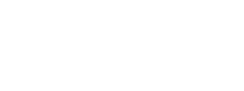 Rotterdam Beveiliging IBS